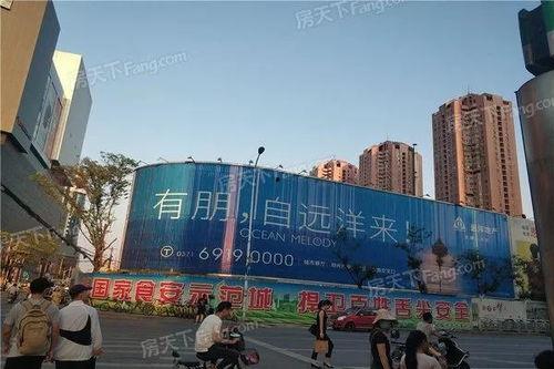 郑州小编最新爆料,揭秘郑州发展背后的故事